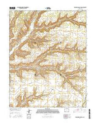 Greasewood Canyon Colorado Current topographic map, 1:24000 scale, 7.5 X 7.5 Minute, Year 2016