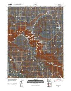 Grizzly Ridge Colorado Historical topographic map, 1:24000 scale, 7.5 X 7.5 Minute, Year 2010