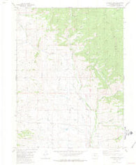 Gunsight Pass Colorado Historical topographic map, 1:24000 scale, 7.5 X 7.5 Minute, Year 1980