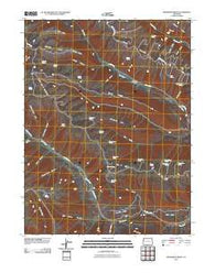 Henderson Ridge Colorado Historical topographic map, 1:24000 scale, 7.5 X 7.5 Minute, Year 2010