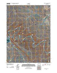 Horse Gulch Colorado Historical topographic map, 1:24000 scale, 7.5 X 7.5 Minute, Year 2010