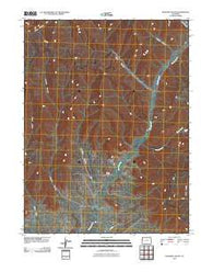 Howard Canyon Colorado Historical topographic map, 1:24000 scale, 7.5 X 7.5 Minute, Year 2010