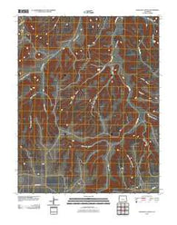 Icehouse Canyon Colorado Historical topographic map, 1:24000 scale, 7.5 X 7.5 Minute, Year 2010
