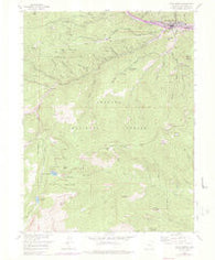 Idaho Springs Colorado Historical topographic map, 1:24000 scale, 7.5 X 7.5 Minute, Year 1957