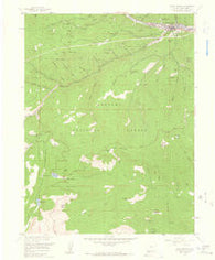 Idaho Springs Colorado Historical topographic map, 1:24000 scale, 7.5 X 7.5 Minute, Year 1957
