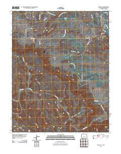 Ignacio Colorado Historical topographic map, 1:24000 scale, 7.5 X 7.5 Minute, Year 2010