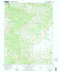 Indian Point Colorado Historical topographic map, 1:24000 scale, 7.5 X 7.5 Minute, Year 1965
