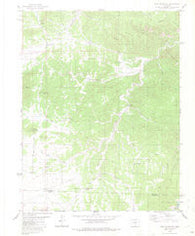 Iron Mountain Colorado Historical topographic map, 1:24000 scale, 7.5 X 7.5 Minute, Year 1980