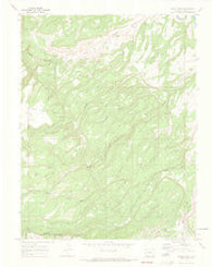 Island Mesa Colorado Historical topographic map, 1:24000 scale, 7.5 X 7.5 Minute, Year 1969