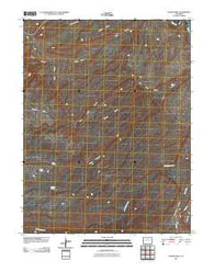 Island Mesa Colorado Historical topographic map, 1:24000 scale, 7.5 X 7.5 Minute, Year 2010