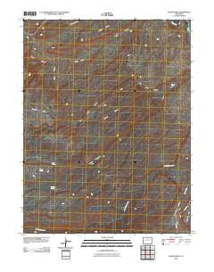 Island Mesa Colorado Historical topographic map, 1:24000 scale, 7.5 X 7.5 Minute, Year 2010