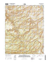 Island Mesa Colorado Current topographic map, 1:24000 scale, 7.5 X 7.5 Minute, Year 2016
