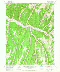 Jessup Gulch Colorado Historical topographic map, 1:24000 scale, 7.5 X 7.5 Minute, Year 1952