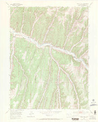 Jessup Gulch Colorado Historical topographic map, 1:24000 scale, 7.5 X 7.5 Minute, Year 1952