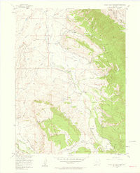 Johnny Moore Mountain Colorado Historical topographic map, 1:24000 scale, 7.5 X 7.5 Minute, Year 1956