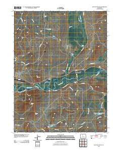 Junction Butte Colorado Historical topographic map, 1:24000 scale, 7.5 X 7.5 Minute, Year 2010