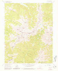 La Plata Colorado Historical topographic map, 1:24000 scale, 7.5 X 7.5 Minute, Year 1963