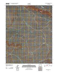Lambing Spring Colorado Historical topographic map, 1:24000 scale, 7.5 X 7.5 Minute, Year 2010