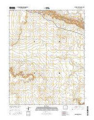 Lambing Spring Colorado Current topographic map, 1:24000 scale, 7.5 X 7.5 Minute, Year 2016