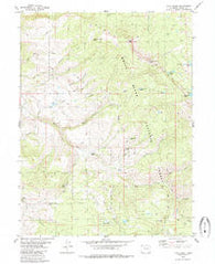 Lava Creek Colorado Historical topographic map, 1:24000 scale, 7.5 X 7.5 Minute, Year 1980