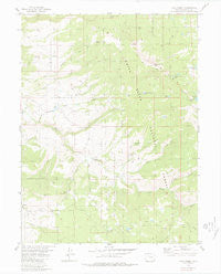 Lava Creek Colorado Historical topographic map, 1:24000 scale, 7.5 X 7.5 Minute, Year 1980