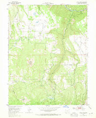 Little Cone Colorado Historical topographic map, 1:24000 scale, 7.5 X 7.5 Minute, Year 1953
