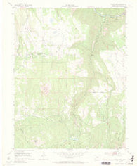 Little Cone Colorado Historical topographic map, 1:24000 scale, 7.5 X 7.5 Minute, Year 1953