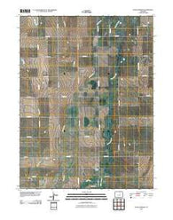 Living Springs Colorado Historical topographic map, 1:24000 scale, 7.5 X 7.5 Minute, Year 2010