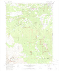 Longs Peak Colorado Historical topographic map, 1:24000 scale, 7.5 X 7.5 Minute, Year 1961