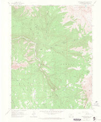 Marcellina Mountain Colorado Historical topographic map, 1:24000 scale, 7.5 X 7.5 Minute, Year 1961