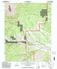 Maysville Colorado Historical topographic map, 1:24000 scale, 7.5 X 7.5 Minute, Year 1994