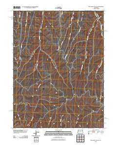 McCarthy Gulch Colorado Historical topographic map, 1:24000 scale, 7.5 X 7.5 Minute, Year 2010