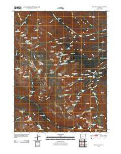 McHenrys Peak Colorado Historical topographic map, 1:24000 scale, 7.5 X 7.5 Minute, Year 2010