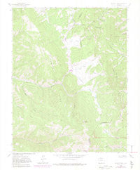 Mc Carty Park Colorado Historical topographic map, 1:24000 scale, 7.5 X 7.5 Minute, Year 1963