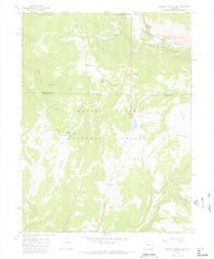 Meadow Creek Lake Colorado Historical topographic map, 1:24000 scale, 7.5 X 7.5 Minute, Year 1966