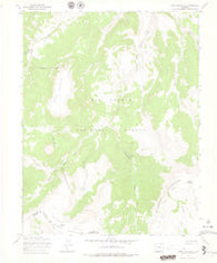 Mesa Mountain Colorado Historical topographic map, 1:24000 scale, 7.5 X 7.5 Minute, Year 1967