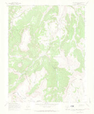 Mesa Mountain Colorado Historical topographic map, 1:24000 scale, 7.5 X 7.5 Minute, Year 1967