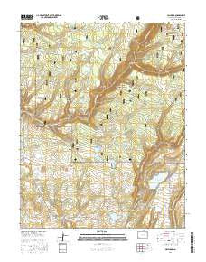Millwood Colorado Current topographic map, 1:24000 scale, 7.5 X 7.5 Minute, Year 2016