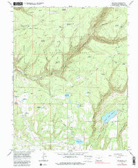 Millwood Colorado Historical topographic map, 1:24000 scale, 7.5 X 7.5 Minute, Year 1965
