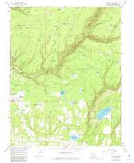 Millwood Colorado Historical topographic map, 1:24000 scale, 7.5 X 7.5 Minute, Year 1965