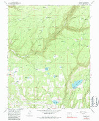 Millwood Colorado Historical topographic map, 1:24000 scale, 7.5 X 7.5 Minute, Year 1965