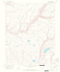 Millwood Colorado Historical topographic map, 1:24000 scale, 7.5 X 7.5 Minute, Year 1965