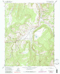 Mineral Mountain Colorado Historical topographic map, 1:24000 scale, 7.5 X 7.5 Minute, Year 1963