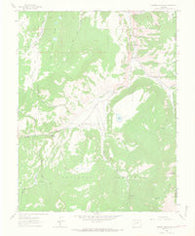 Mineral Mountain Colorado Historical topographic map, 1:24000 scale, 7.5 X 7.5 Minute, Year 1963