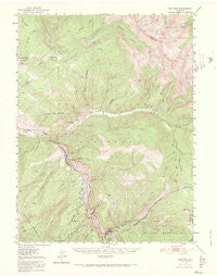 Minturn Colorado Historical topographic map, 1:62500 scale, 15 X 15 Minute, Year 1950