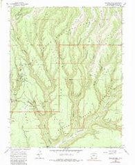 Moccasin Mesa Colorado Historical topographic map, 1:24000 scale, 7.5 X 7.5 Minute, Year 1967
