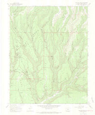 Moccasin Mesa Colorado Historical topographic map, 1:24000 scale, 7.5 X 7.5 Minute, Year 1967