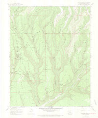 Moccasin Mesa Colorado Historical topographic map, 1:24000 scale, 7.5 X 7.5 Minute, Year 1967
