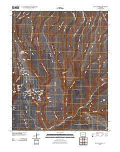 Moccasin Mesa Colorado Historical topographic map, 1:24000 scale, 7.5 X 7.5 Minute, Year 2010