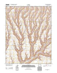 Moccasin Mesa Colorado Historical topographic map, 1:24000 scale, 7.5 X 7.5 Minute, Year 2013